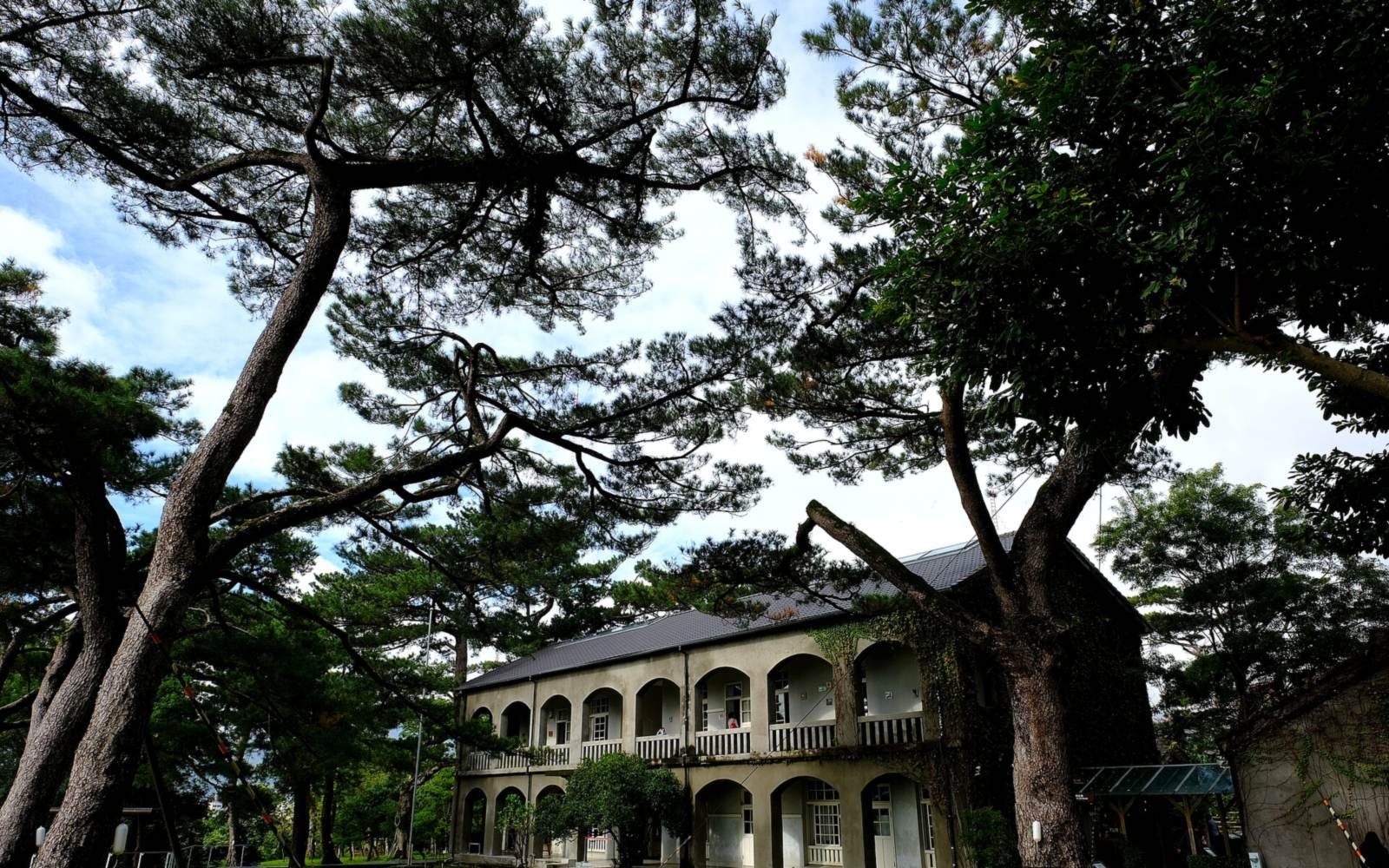 Mature pines with sculptural branches framing a colonnaded house and its lawn.